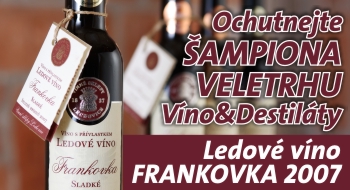 �ampion v�no a destil�ty Frankovka ledov�