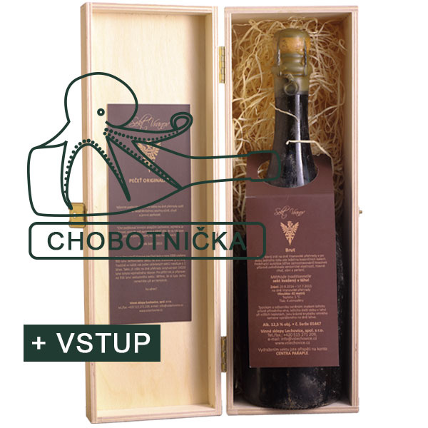 Sekt-Vranov-2017-chobotnička-VSTUPENKA